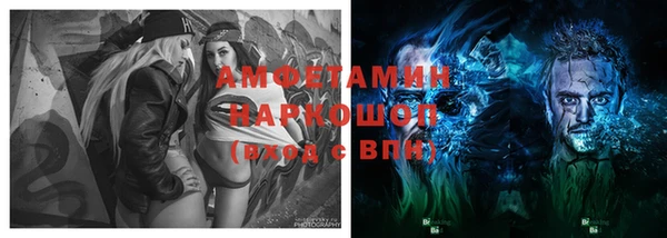 индика Волоколамск