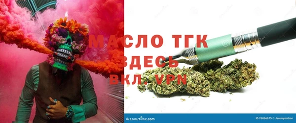 индика Волоколамск
