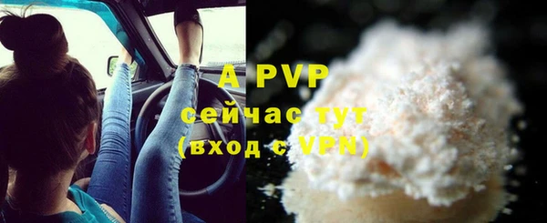 индика Волоколамск