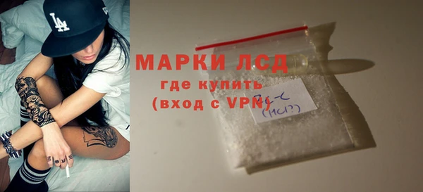 индика Волоколамск