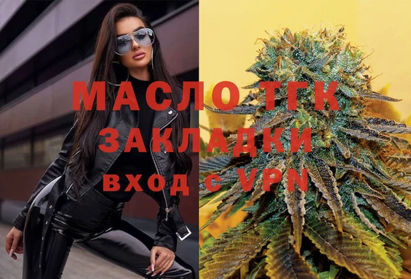 индика Волоколамск