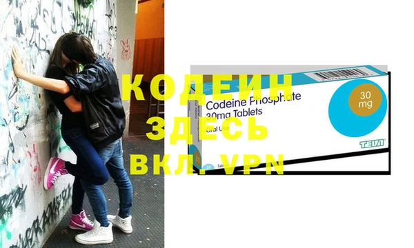 индика Волоколамск