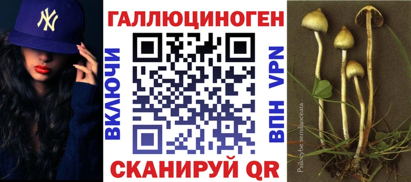 цены   Канаш  Галлюциногенные грибы прущие грибы 